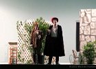 TamingShrew_131119_9779_2048dx_c.jpg